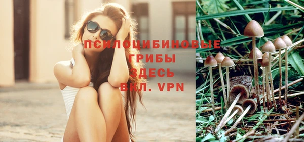 дмт Армянск