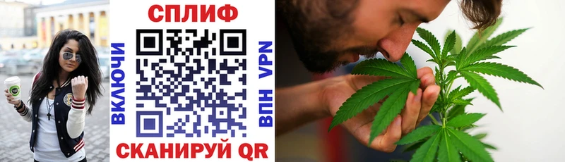 Канабис White Widow  Нытва 